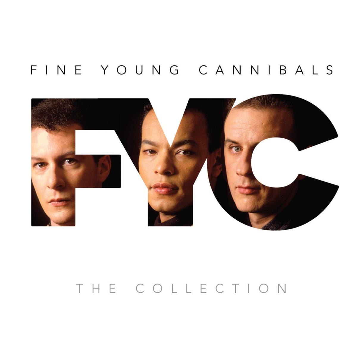Fine Young Cannibals